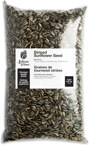 Miniatura 10 de Schoen Farms Semillas de girasol a rayas – Alimento para pájaros – Bolsa de 3 libras – Limpio, Semilla de pájaro para pinzones, arrendajos