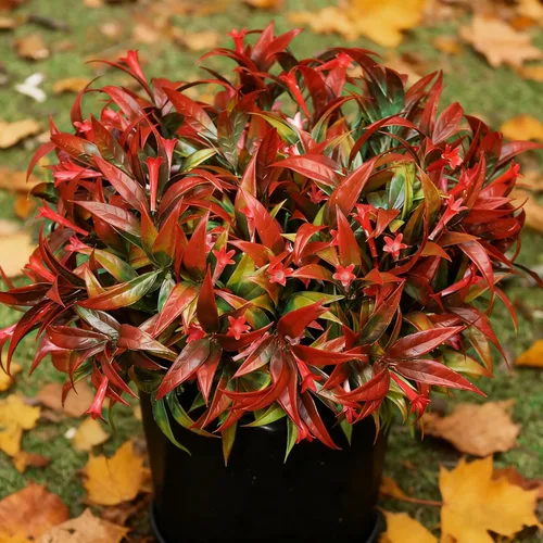 Miniatura 12 de Uieke 6 plantas artificiales para exteriores, resistentes a los rayos UV, flores falsas de gloria matutina con hierba naranja, flores tropicales