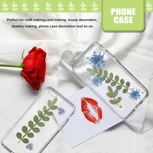 Miniatura 6 de Hojas secas prensadas naturales para resina, 42 piezas de hojas espinosas secas reales para arte de resina, manualidades, tarjetas, álbumes