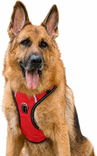 Miniatura 24 de Arnés antitirones para perro pequeño con 2 hebillas de liberación rápida y mango de fácil control, chaleco suave reflectante sin estrangulamiento