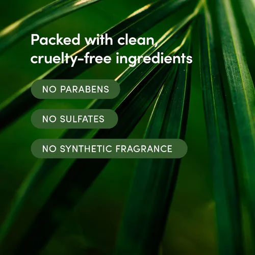 Miniatura 4 de LATHER Acondicionador de enjuague de crema de bambú Acondicionador de aceite esencial Acondicionador con bambú, aceite de jojoba y aloe vera