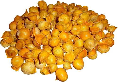 Ajo japonés/Ajo Japones (100% natural!!) Diferentes pesos: (1 libra, 2 libras, 5 libras, 10 libras y 20 libras) (5 libras)