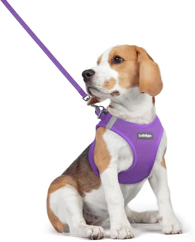 Miniatura 105 de rabbitgoo Juego de arnés para perro de tamaño pequeño y correa, chaleco ligero suave para cachorro, arnés de malla transpirable para mascotas