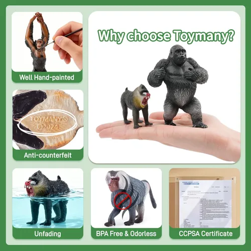 Miniatura 2 de Toymany 6 figuras de primates, juego de animales de mono de la selva de plástico, incluye mono, simio, chimpancé, gorila, juguetes para niños