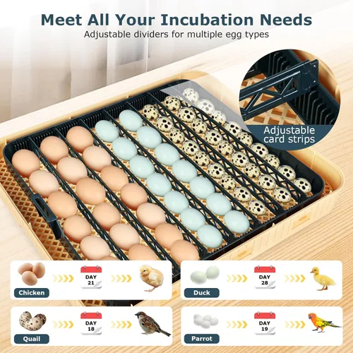 Miniatura 4 de Incubadoras para incubar huevos, incubadora de 56 huevos con ovoscopio, volteador automático de huevos, control de temperatura y humedad, día