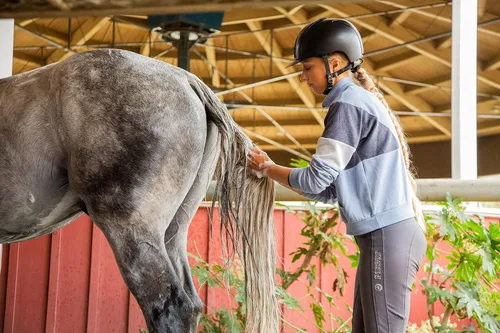 Miniatura 8 de Kawell USA Champú concentrado para caballo. Promueve un pelaje y una piel saludables. Ayuda a aliviar la picazón y la piel seca, alergias e