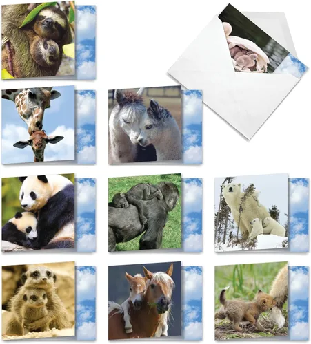 Miniatura 17 de The Best Card Company - Tarjetas de animales en blanco en caja, 4 x 5.12 pulgadas, mascotas surtidas, zoológico, tarjetas de vida silvestre