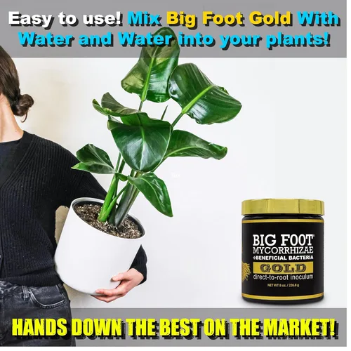 Miniatura 6 de Big Foot Gold Hongos micorrízicos 28 g, bacterias beneficiosas para el crecimiento de las plantas, estimulador de raíces, fórmula súper concentrada