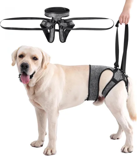 LIANZIMAU Arnés de elevación ajustable para perros grandes, soporte de pierna trasera, soporte de elevación para perros mayores, soporte de Gris