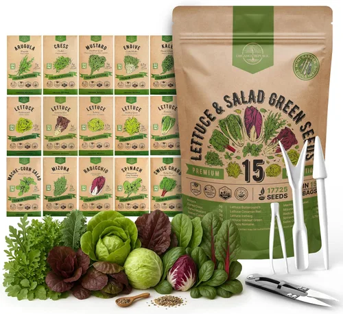 Organo Republic Paquete de variedad de semillas de lechuga y verduras para ensalada de 15 tipos, más de 17700 semillas de lechuga autóctonas sin OGM
