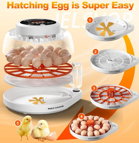 Miniatura 5 de Incubadoras mejoradas para incubar huevos, incubadora de 12 huevos con giro automático de huevos, control de temperatura y pantalla de humedad, vela