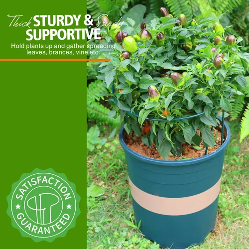 Miniatura 8 de LEOBRO Soporte para Plantas, 8 Jaulas y Soportes de Peonías, Estacas para Plantas de Interior, Plantas al Aire Libre, Soportes para Plantas, Jaula