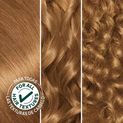 Miniatura 2 de Garnier Nutrisse - Tinte permanente en crema nutritiva para el cabello, 73 rubio dorado oscuro (Honey Dip), 2 unidades (el empaque puede variar)
