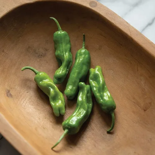 Miniatura 3 de Semillas de pimiento Shishito Orgánico Más de 25