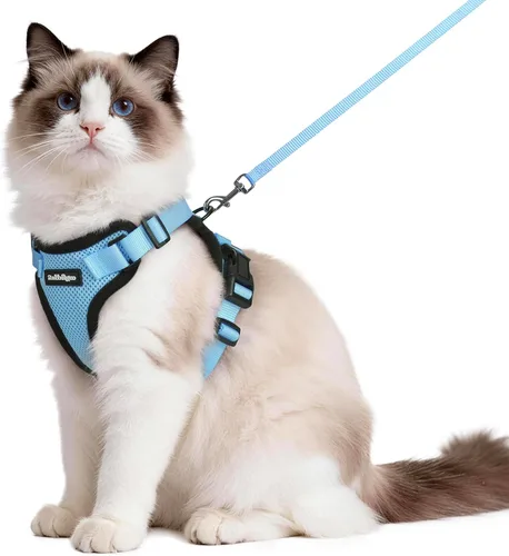 Miniatura 13 de rabbitgoo Juego de arnés y correa para gatos, arnés a prueba de escapes para paseos seguros al aire libre, chaleco suave transpirable ajustable