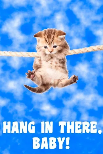 Gatito colgante de cuerda retro motivacional trabajo en equipo cita inspiradora inspiradora cita inspiradora apoyo motivación motivación motivación