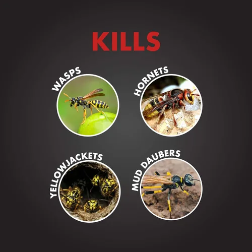 Miniatura 3 de Spectracide PRO Wasp& Hornet Killer 18oz (paquete de 12)
