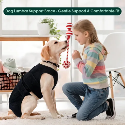 Miniatura 4 de Soporte de espalda para perro para IVDD y recuperación espinal, chaleco de apoyo transpirable ajustable para perro, protector lumbar para perros