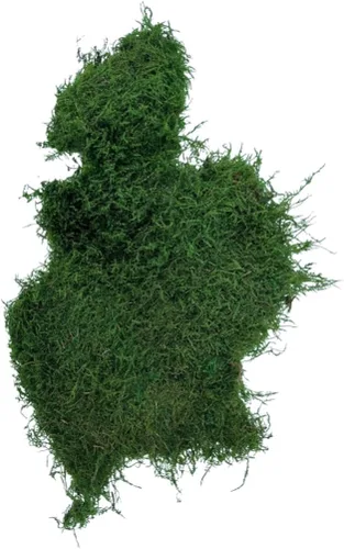 Miniatura 8 de Musgo de hoja preservado - Musgo decorativo natural - Musgo seco para manualidades, decoración del hogar, proyectos de arte, diseño y bricolaje - No