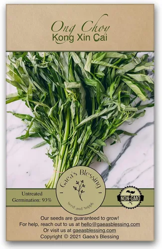 Gaea's Blessing Semillas Ong Choy Seeds - Kong Xin CAI Kangkong - Semillas sin OMG con instrucciones de plantación fáciles de seguir 94% de tasa de