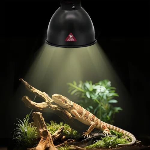 Miniatura 4 de Lámpara de reptil de cúpula profunda de 5.5 pulgadas de 100 W, lámpara de calor de reptiles de cúpula de 100 W con interruptores aptos