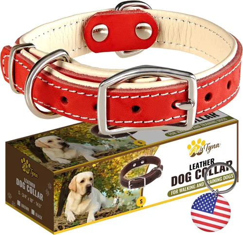 Miniatura 13 de ADITYNA Collar de perro de cuero rosa resistente para perros grandes, forrado con cuero suave, collar de perro para caminar, entrenar y senderismo