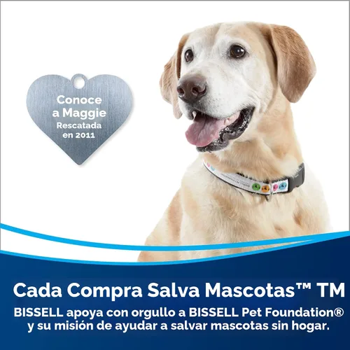 Miniatura 2 de Bissell CleanView Aspiradora vertical sin bolsa con varilla activa, 3536