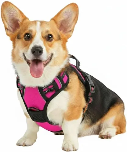 Miniatura 10 de Arnés para perro sin tirones, chaleco táctico verde XL, arnés extra grande de nailon 900D resistente con asas de fácil control, chaleco acolchado
