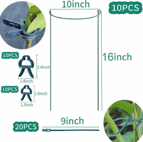 Miniatura 2 de TCBWFY Paquete de 10 estacas de soporte para plantas de peonía, 10 pulgadas de ancho x 16 pulgadas de alto, jaulas de peonía de alta resistencia