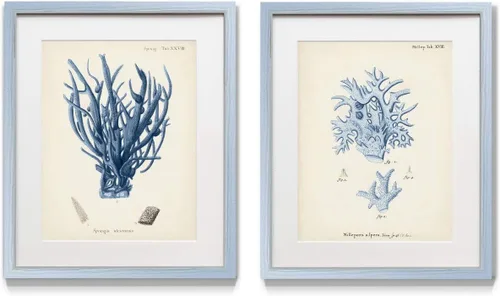 Miniatura 13 de Renditions Gallery Coral antiguo en azul marino I juego de 2 piezas enmarcado, par temático de océano submarino, azul, marco plateado moderno, Coral