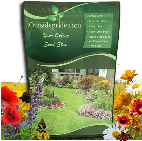 Outsidepride Mezcla de semillas de flores silvestres del sureste, 1 libra altamente adaptable, fácil de cultivar, mezcla de bajo mantenimiento de