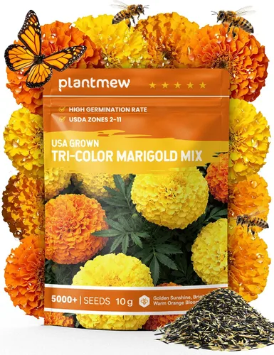 Semillas de caléndula francesa – Heirloom Petite Tri-Color Mix – Flores vibrantes amarillas/naranjas – Más de 5000 semillas para plantar al aire