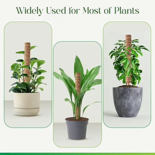 Miniatura 6 de Pisol Poste de musgo para plantas Monstera, soporte extensible, estacas para plantas en maceta de interior, enrejado de poste de fibra de coco