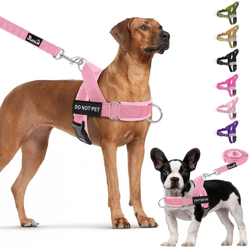 Miniatura 12 de Juego de arnés y correa para perro Lukove sin tirones - Arnés de chaleco para perros resistente con acolchado suave para perros medianos y grandes