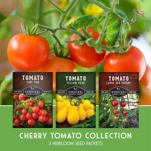 Miniatura 2 de Semillas de tomate cherry para plantar, paquete variado de 3 con diminutos Tim, pera amarilla y tomates cherry rojos grandes, variedades