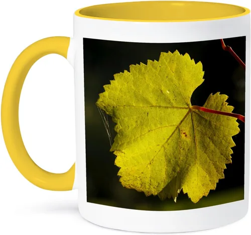 Miniatura 12 de 3dRose Estados Unidos, Oregon, Keizer, Pinot Gris hoja de viñedo - US38 RBR0742 - Rick A Brown 11oz taza negra de dos tonos