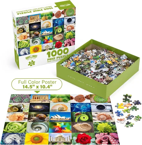 Miniatura 5 de BenBen Rompecabezas de 1000 piezas para adultos, 25 espirales de Fibonacci en la naturaleza, rompecabezas con letras en la parte posterior