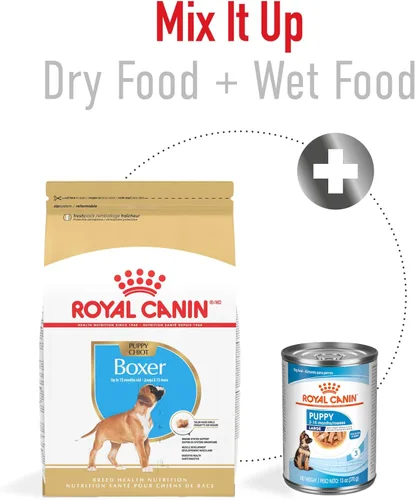 Miniatura 6 de Royal Canin Breed Health Nutrition Boxer - Alimento seco para perros, bolsa de 30 libras