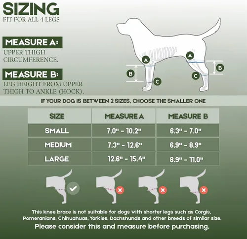 Miniatura 5 de Rodillera ajustable para perro para desgarro del ligamento cruzado anterior y rótula luxante, soporte para pierna trasera, displasia de cadera