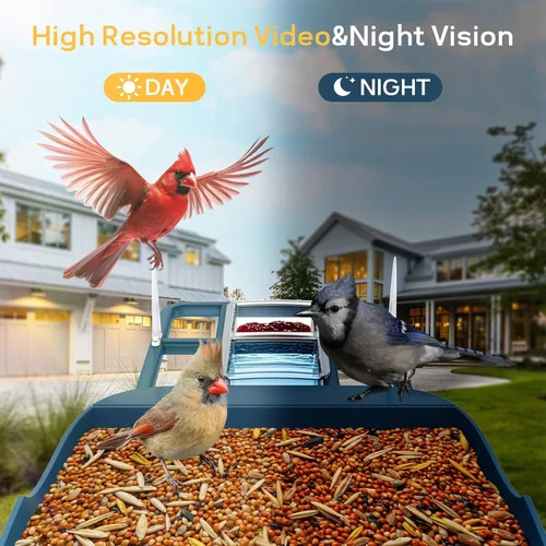 Miniatura 6 de Comedero para pájaros con cámara, cámara de comedero inteligente WiFi para exteriores con reconocimiento de aves AI incorporado, energía solar