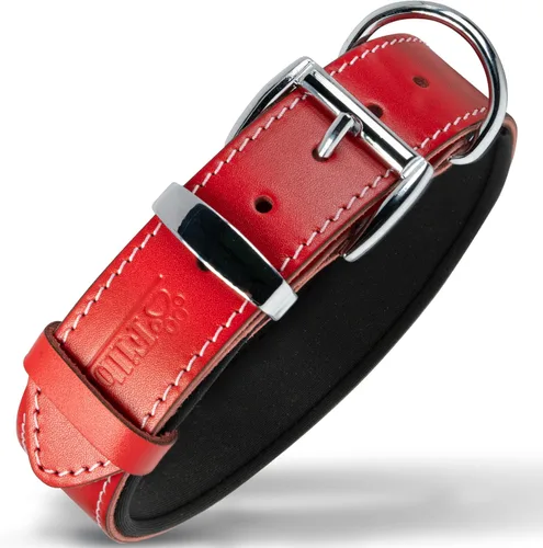 Miniatura 9 de Filbert Collar de cuero para perro, collar de cuero genuino para perros pequeños, estampado de patas en relieve con hebilla, grano completo curtido