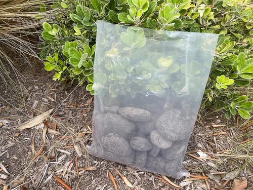 Sandbaggy Bolsas de polietileno transparente | Disponible en 9 x 12 pulgadas, 10 x 10 pulgadas o 12 x 15 pulgadas | Bolsa de polietileno de grado