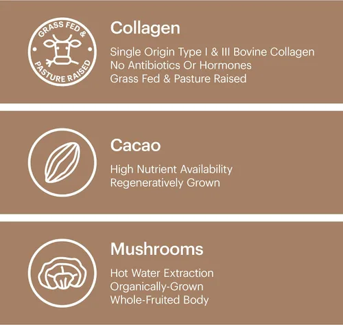 Miniatura 6 de Wellthy Superalimento en polvo de colágeno, combate el estrés y la fatiga, cacao, polvo de hongos, extractos orgánicos de chaga y reishi, matcha