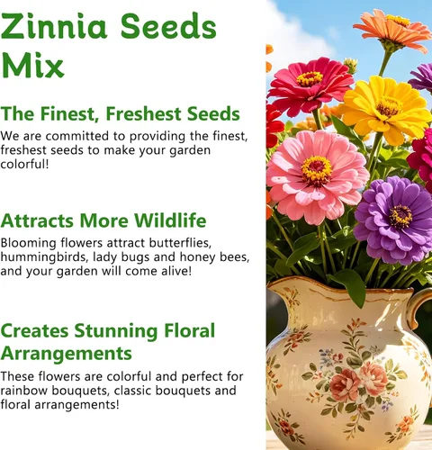 Miniatura 4 de LUOJIBIE Semillas de Zinnia para 2026, más de 6,000 semillas de zinnia gigante de California a granel, semillas de zinnia de doble dalia