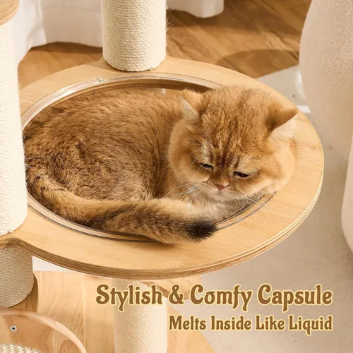 Miniatura 6 de Moderno árbol de madera maciza para gatos de interior de hasta 15 libras, torre para gatos de 49 pulgadas de alto con postes rascadores y rascador
