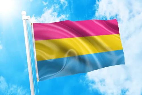 Miniatura 2 de DMSE Pride Series - Bandera de 2 x 3 pies, 100 % poliéster, 100 % poliéster, bandera 100D resistente a los rayos UV (2 pies x 3 pies pansexual)