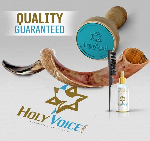 Miniatura 6 de Holy Voice Cuerno decorativo Kudu Shofar de León de Juda, chapado en plata de ley de 36 a 39 pulgadas, con soporte, bolsa de transporte y cepillo