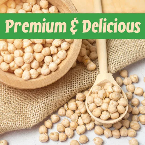Miniatura 7 de Sincerely Nuts Garbanzos asados y sin sal (2 libras) Proteína a base de plantas, granos de garbanzo, gran aperitivo o guarnición, vegano, kosher