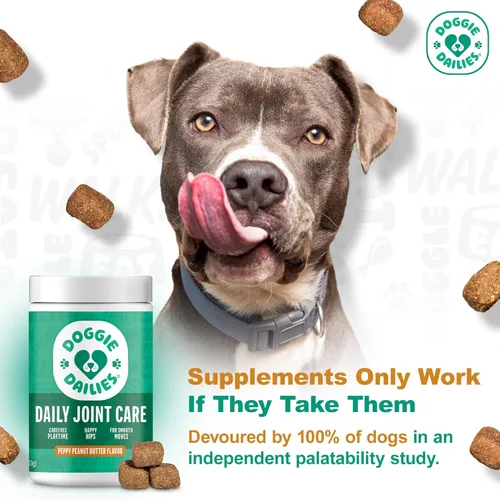Miniatura 2 de Doggie Dailies Glucosamina para perros – 225 masticables – Suplemento avanzado para las articulaciones para perros con condroitina, MSM, ácido