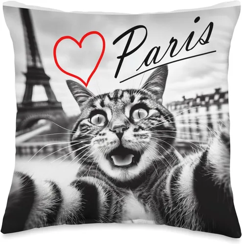 Funny Paris Shop France Paris - Cojín de la Torre Eiffel, 16 x 16, multicolor